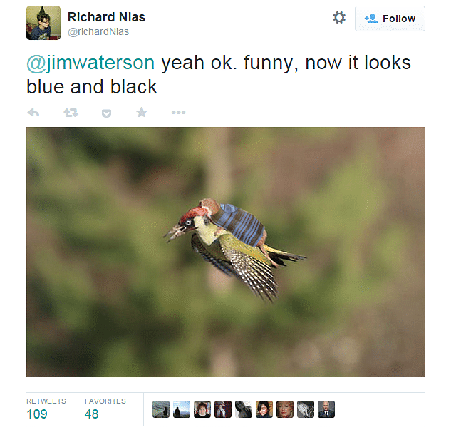 blue and black weasel woodpecker meme, the super funny #weaselpecker memes you have to see!